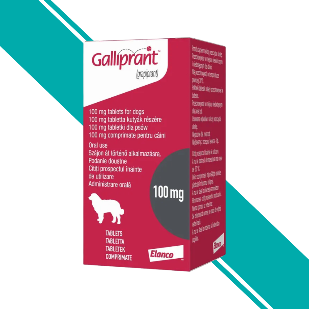 Galliprant 100mg Tablet for Dogs - Pack of 30